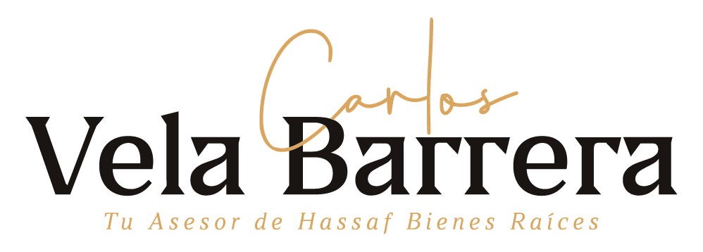 Carlos Vela Barrera Bienes Raíces Logo-01